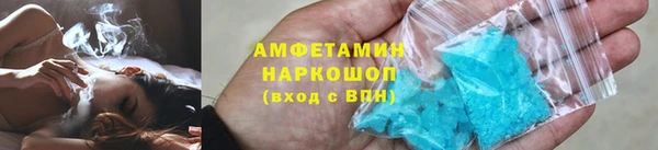 гидра Богданович