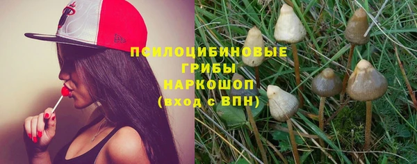 гидра Богданович