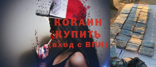 гидра Богданович